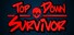 Top Down Survivor