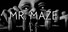 Mr. Maze