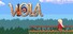 Viola: The Heroine's Melody
