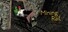 Mining Rail