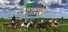 Starters Orders 7 Horse Racing