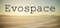 Evospace