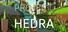 Project Hedra