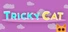 Tricky Cat