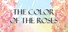 THE COLOR OF THE ROSES