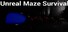 Unreal Maze Survival