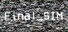 Final_SIM