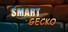 Smart Gecko