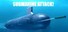 Submarine Attack!