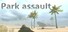 Park assault