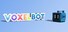 Voxel Bot