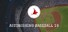 Astonishing Baseball 2019