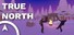 True North