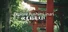 Explore Fushimi Inari