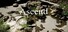 Ascend