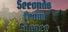 Seconds from Silence