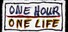 One Hour One Life