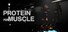 Protein for Muscle