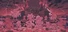 东方华彩乱战 ~ Touhou Blooming Chaos