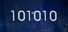 101010