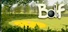 Bolf