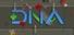 DNA