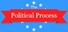 The Political Process