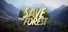 Forest Ranger Simulator