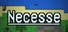Necesse