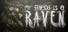 My Friend is a Raven