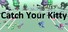 Catch Your Kitty