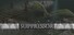 Suppressor