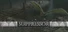 Suppressor