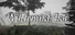 Wildemist Isle
