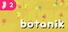 Botanik