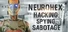 NeuroHex: Hacking, Spying, Sabotage