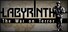 Labyrinth: The War on Terror