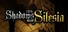 1428: Shadows over Silesia