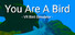 You Are A Bird