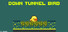 TUNNEL BIRD