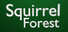 Squirrel Forest