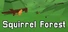 Squirrel Forest