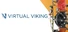 Virtual Viking