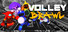 VolleyBrawl