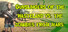 Gunslingers of the Wasteland vs. The Zombies From Mars