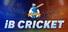 iB Cricket