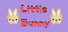 Little Bunny