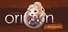 Legend of Orion: Adventure