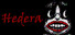 Hedera