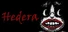 Hedera
